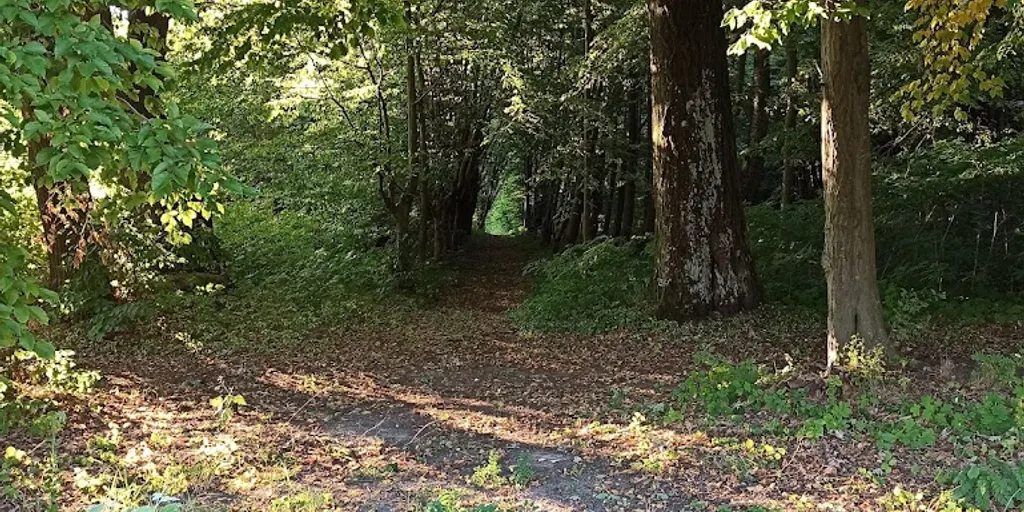JOGA dla Ciebie - studio w pięknej okolicy blisko Radomia 7