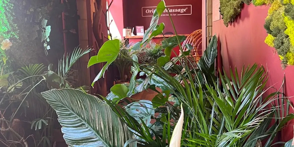 Salon Masażu Orient Massage Zielona Góra 6