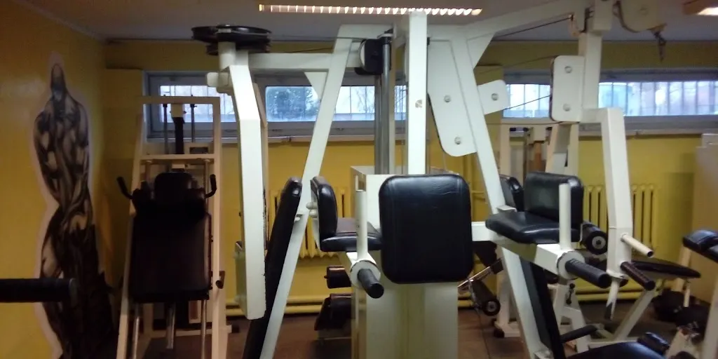 Olimp Fight And Power Gym 2