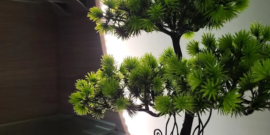 Etna SPA w Centrum Rekreacyjno-Sportowym 1