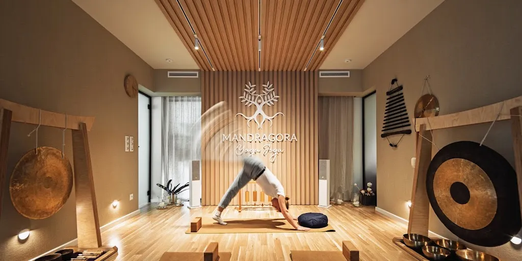 Mandragora Yaga Joga - studio jogi, psychoterapii i rozwoju osobistego 1