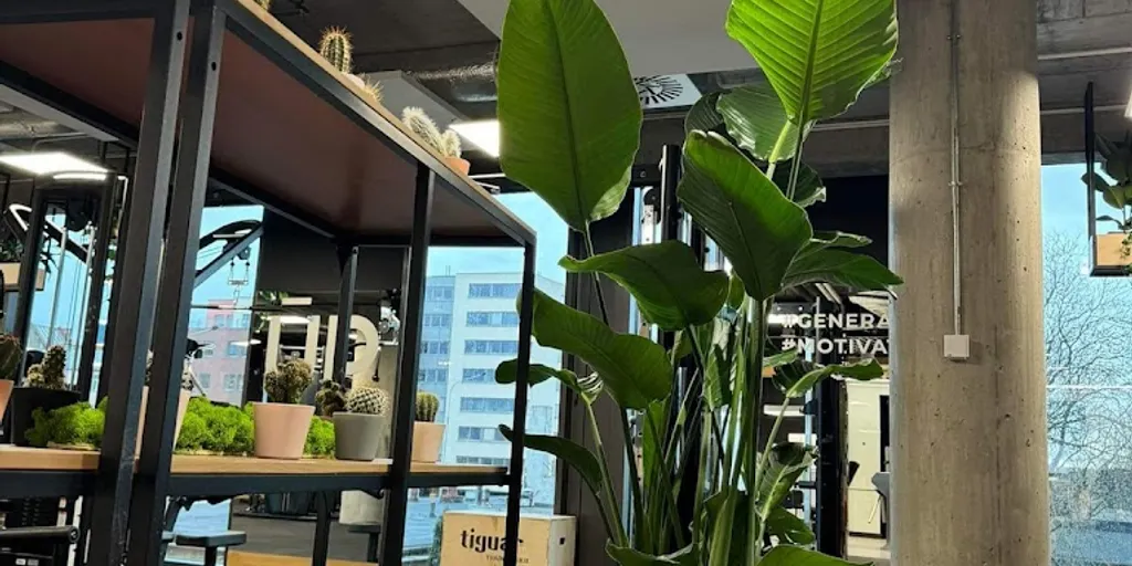 Klub Fitness UP - Wrocław Infinity 8