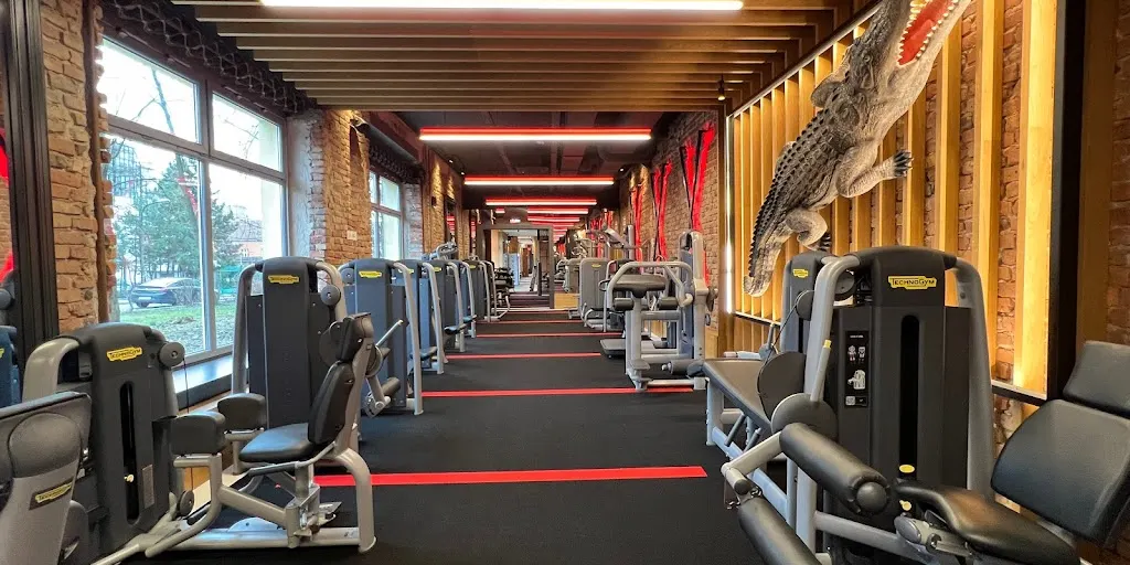 My Fitness Place Mogilska 70 1