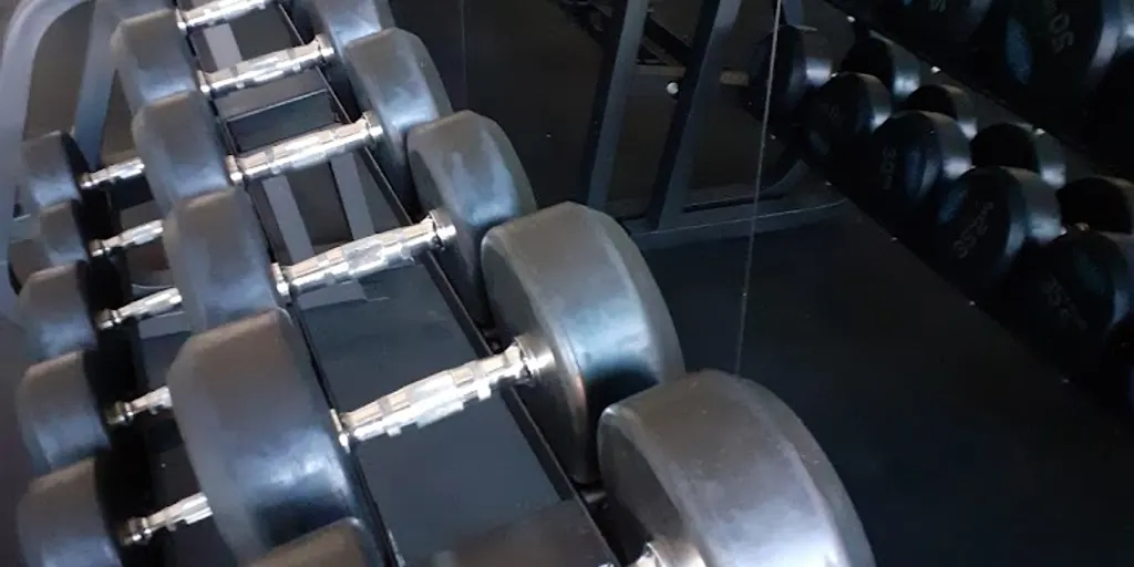 Well Fitness – Częstochowa, Wrzosowiak 4