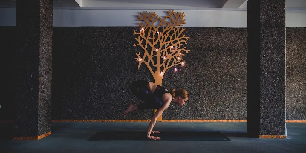 STUDIO JOGI BALANS 9