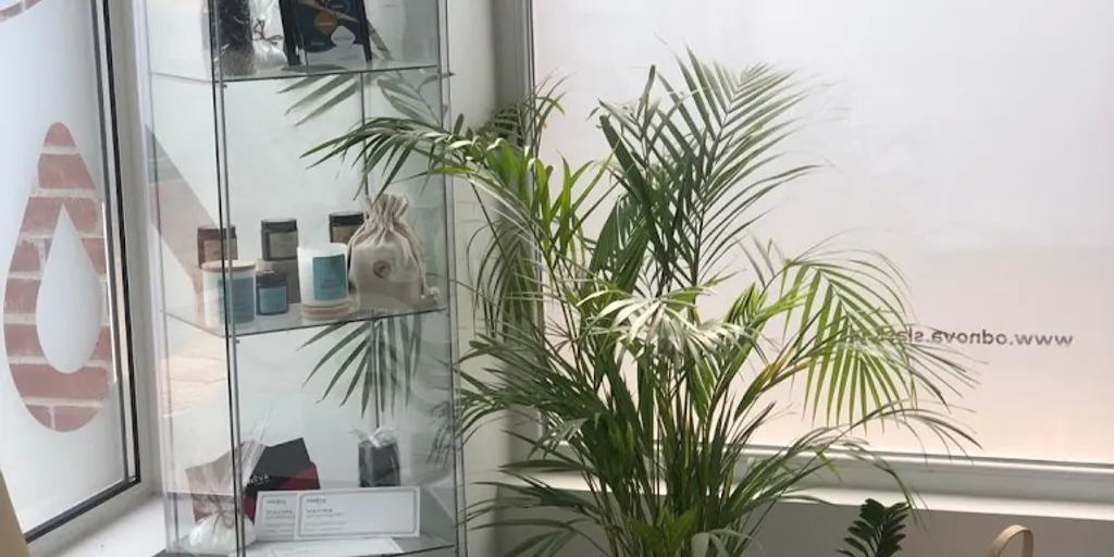 Odnova Float & SPA 10