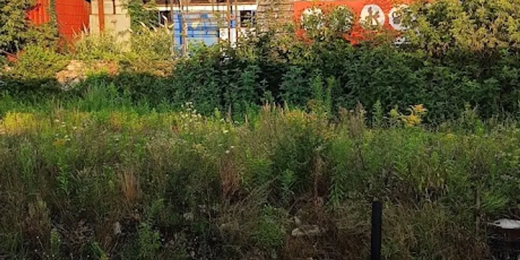 RxGym Warszawa Zachodnia 7