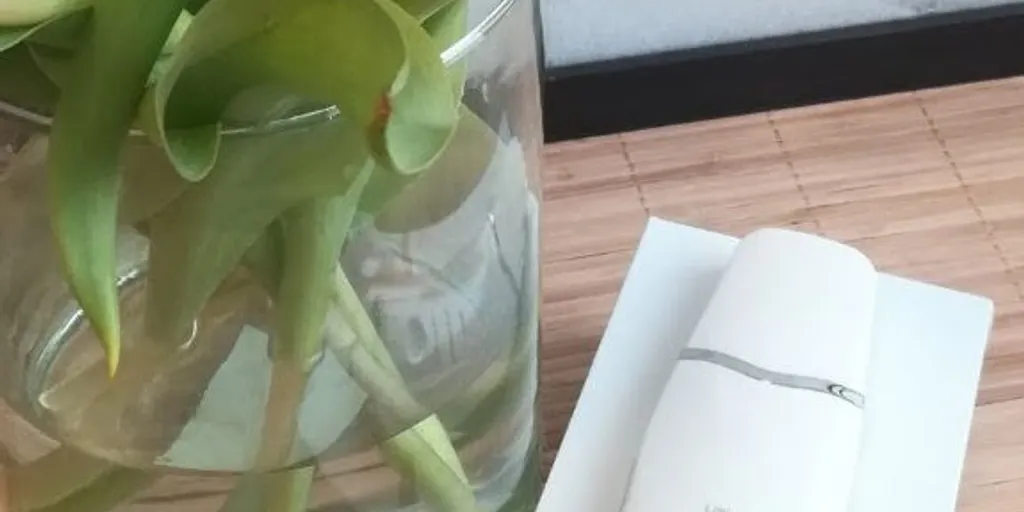 Ishiki - floating & ganbanyoku SPA 8