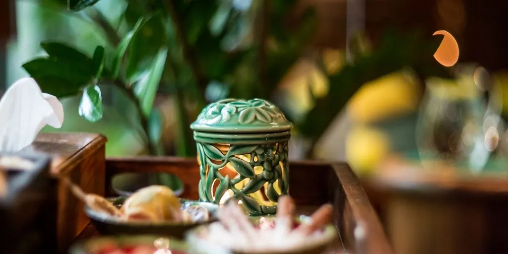 Farmona Wellness & SPA 1