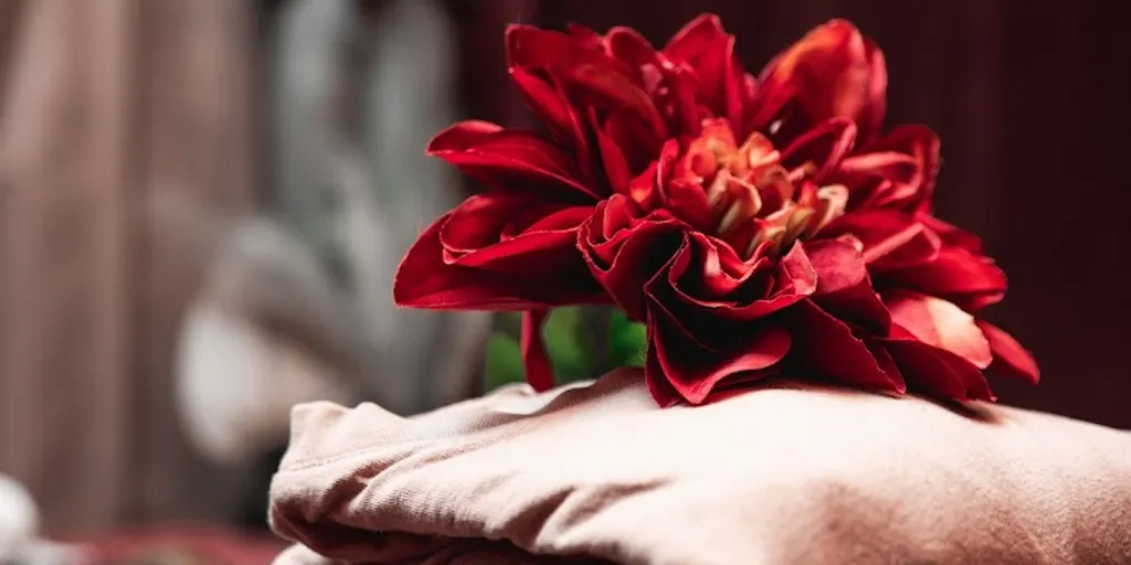 Massage Garden - salon masażu w Bydgoszczy 3