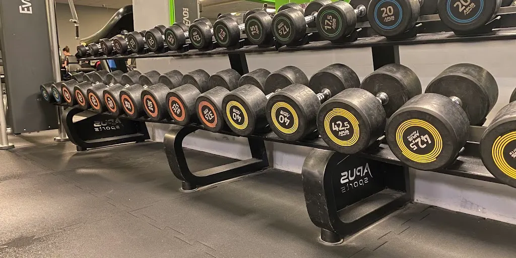 Alpha Gym 5