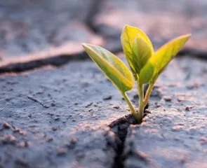 Gabinety Psychologiczne NeuroSymetria mgr Mariusz Kowal