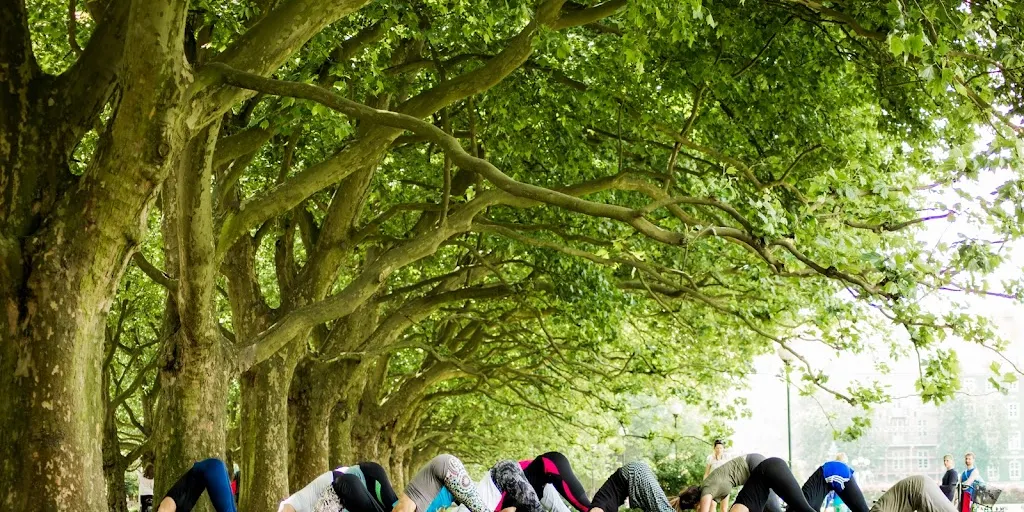 Szkoła Jogi Ałły Raginis 2