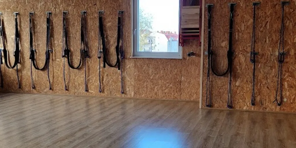 Bumblebee Joga Małgorzata Trzmiel 1