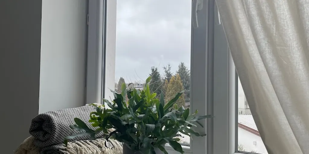 STUDIO JOGI KERALA 10