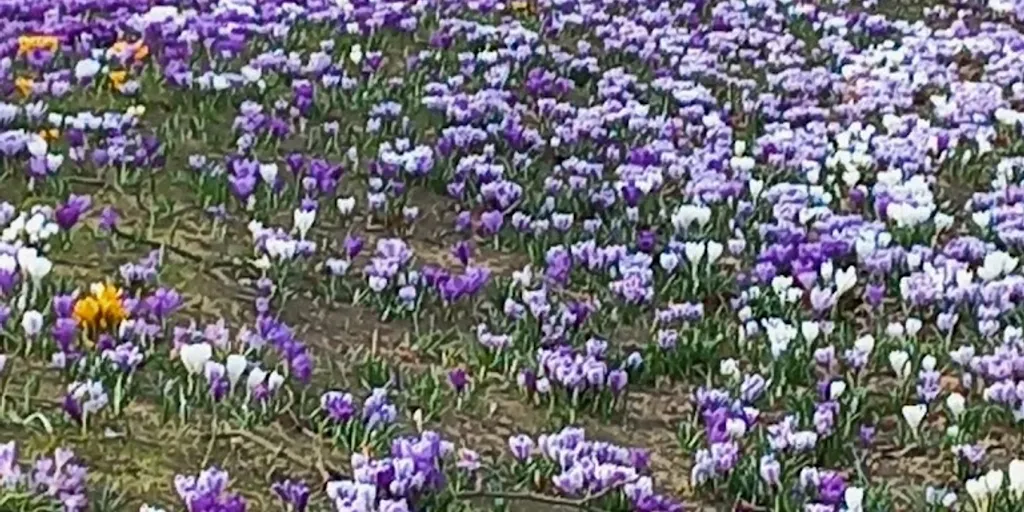 Fitness Club Szczecin 10