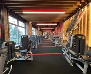 My Fitness Place Mogilska 70