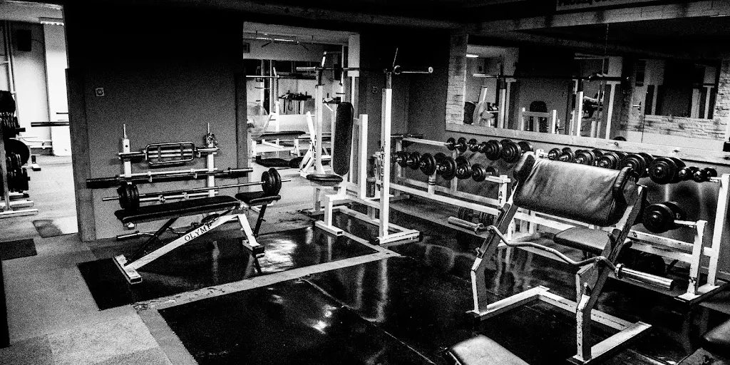 Olimp Fight And Power Gym 7