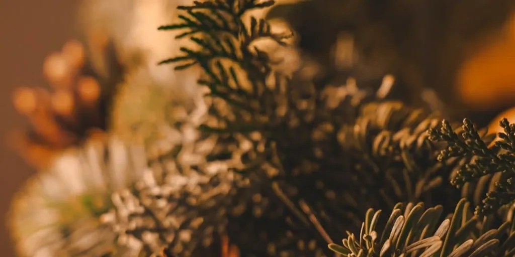 Day Spa Vita'O Salon Masażu Gdynia 2