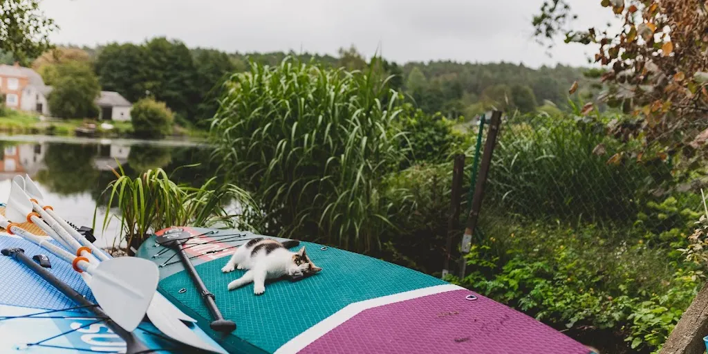 Ogrodowe SPA • Sauna • Balia • Imprezy • 10