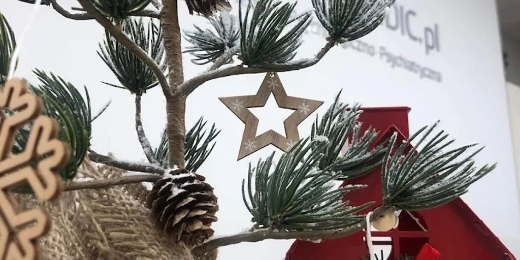 Psychomedic.pl Śródmieście - Psychiatra Bydgoszcz - psycholog, psychoterapeuta, neurolog 4