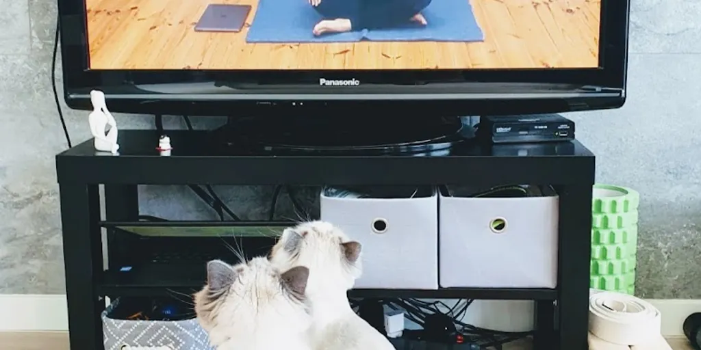 Joga KarmaJoga - szkoła jogi Katowice 8