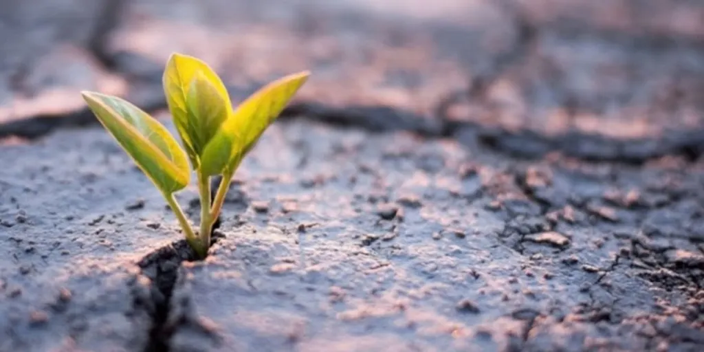 Gabinety Psychologiczne NeuroSymetria mgr Mariusz Kowal 1