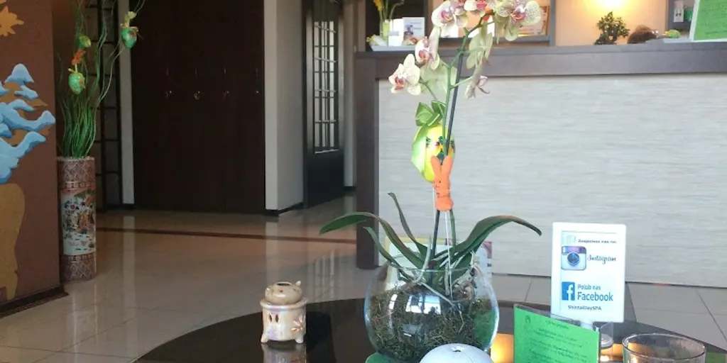 Shintai Day SPA Radom 9