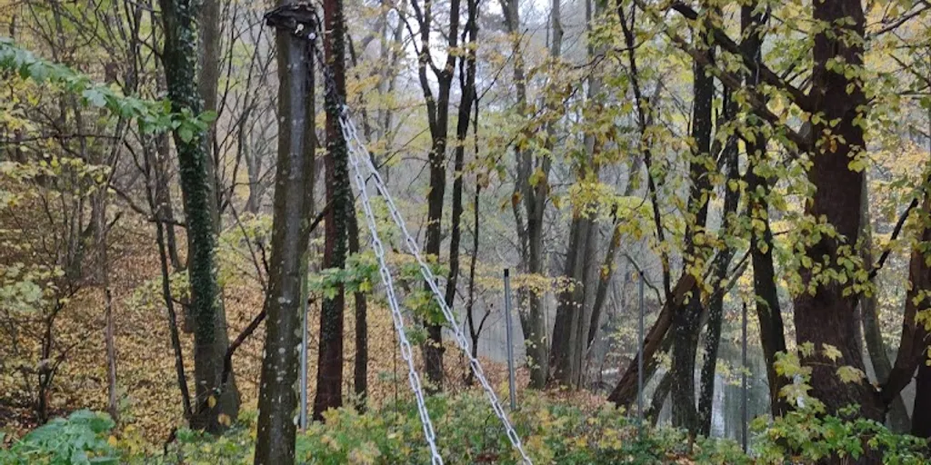 Savasana Katarzyna Szyńska 6