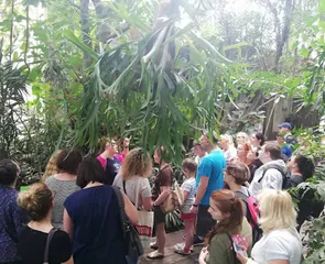 Europabiz.pl - Centrum Rozwoju Nauki i Biznesu Sp. z o. o. / szkolenia, kursy, warsztaty / Szczecin