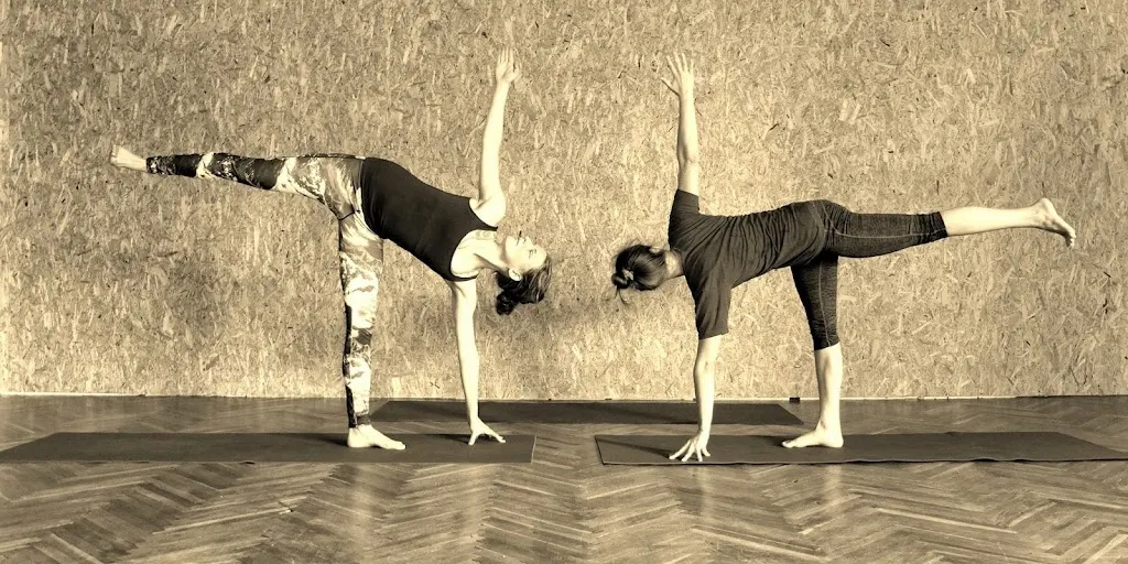 Szkoła Jogi na Dębnikach 2