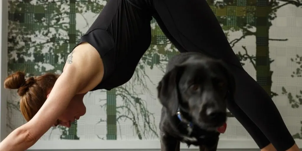 Joga Spot. Joga Gdynia Leszczynki, Chylonia, Grabówek, Pustki Cisowskie 5