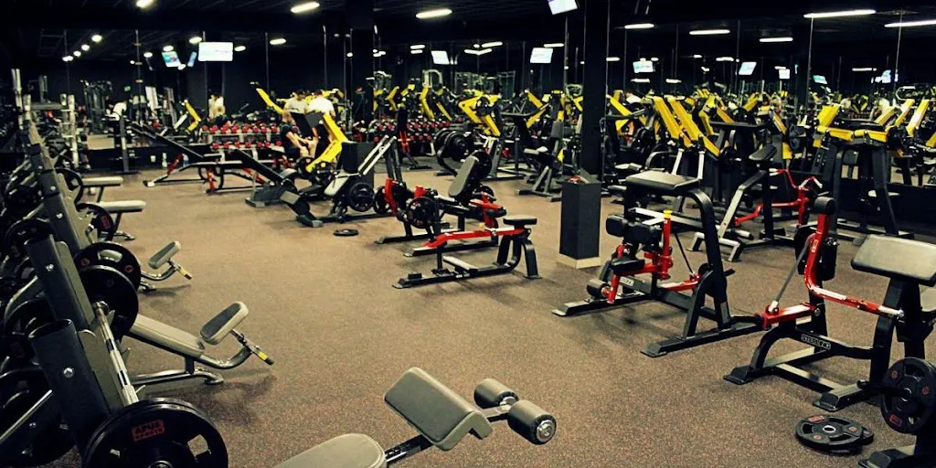 PLATYNA gym - profesionalny klub fitness 10