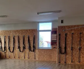 Bumblebee Joga Małgorzata Trzmiel