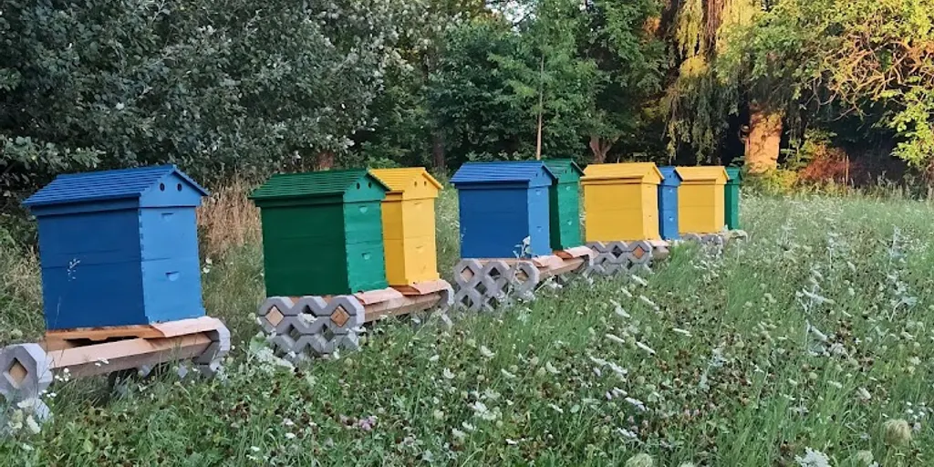 JOGA dla Ciebie - studio w pięknej okolicy blisko Radomia 6