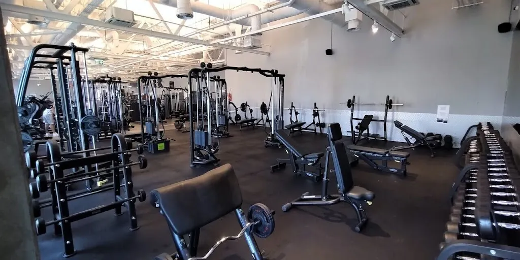 Well Fitness – Częstochowa, Wrzosowiak 1