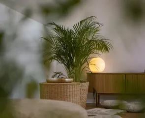 Joga Szczecin 🧘‍♀️ Holi Studio