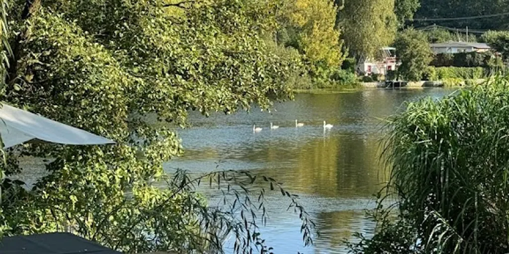 Ogrodowe SPA • Sauna • Balia • Imprezy • 7