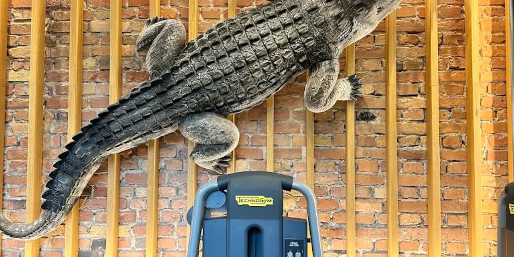 My Fitness Place Mogilska 70 6