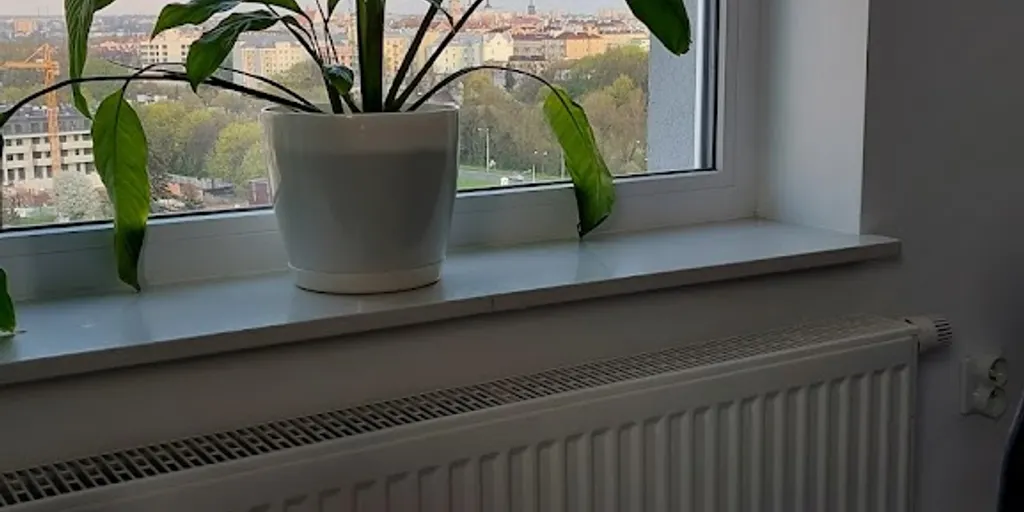 HEALIO Instytut Psychoterapii - Lublin - Justyna Rać & Natalia Baron 3