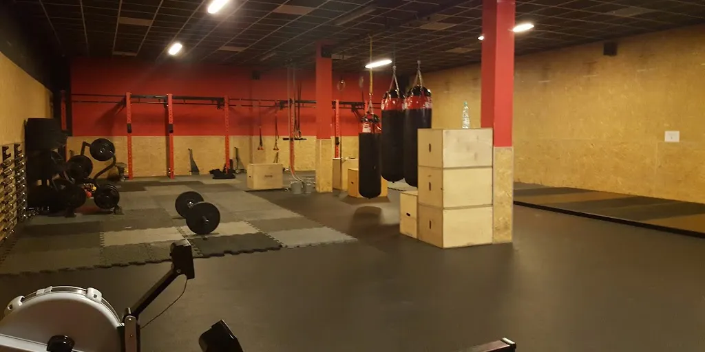 PLATYNA gym - profesionalny klub fitness 3