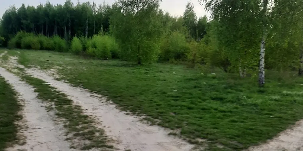 Well Fitness – Częstochowa, Wrzosowiak 10