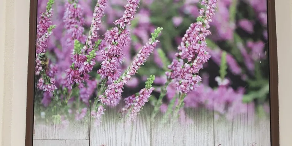 Gabinet masażu i SPA Justyna Jarecka 6