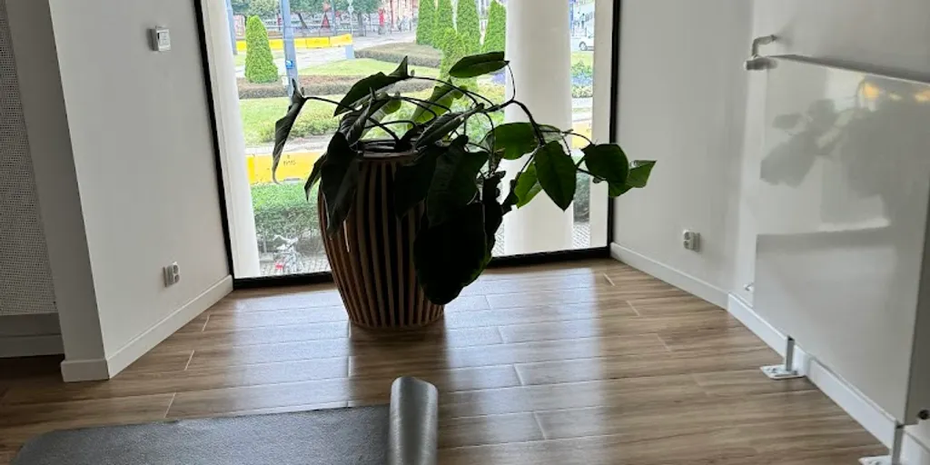 Yoga Republic plac Zbawiciela | Szkoła Jogi Warszawa 8