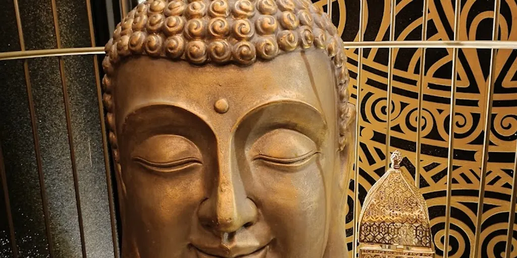 Safari Massage and Wellness 6