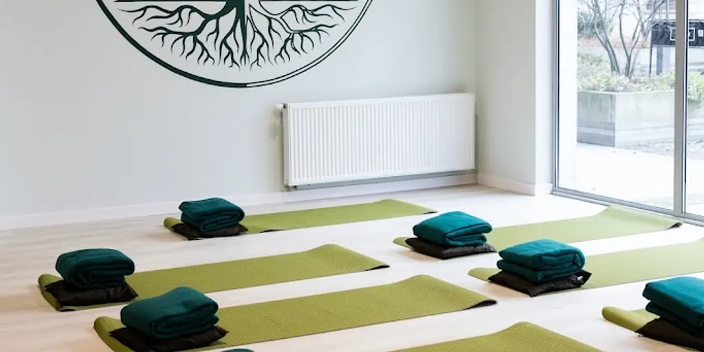 YOGA FOREST STUDIO 1