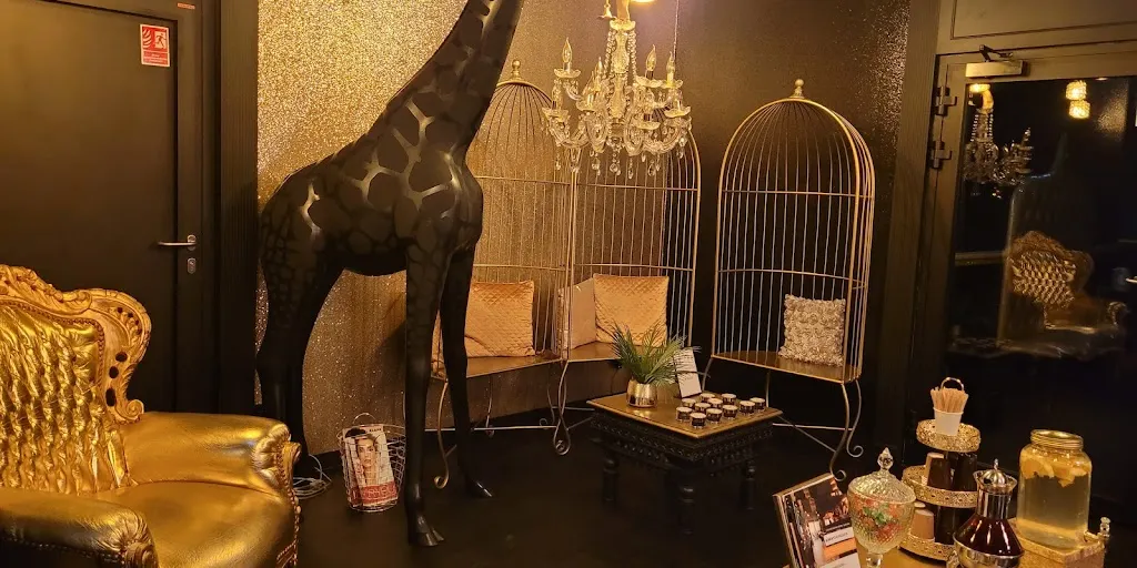 Safari Massage and Wellness 2