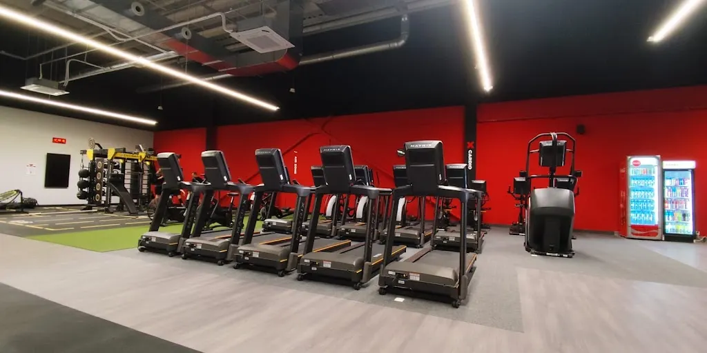 Xtreme Fitness Bielsko-Biała 8