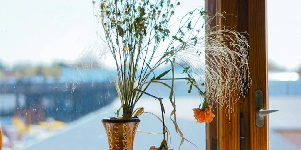 Joga Szczecin 🧘♀️ Holi Studio 2