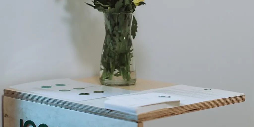 Joganika - szkoła jogi w Katowicach 4